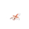 Goldeen