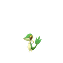 Snivy