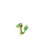 Snivy