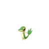 Snivy