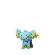 Shinx female