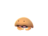化石盔