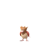 Spearow