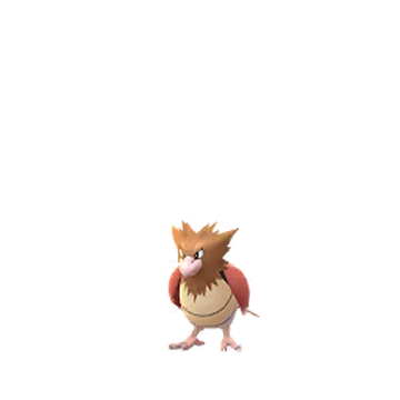 Pidgeot, Pokémon GO Wiki