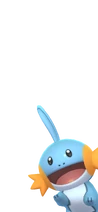 Mudkip