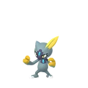 Sneasel