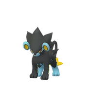 Luxray female