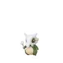 Cubone