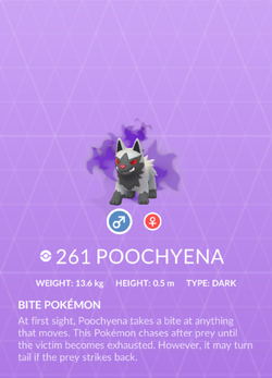 Poochyena - Pokemon GO Guide - IGN