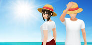 Promotional image for Straw Hat avatar item