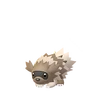 Zigzagoon