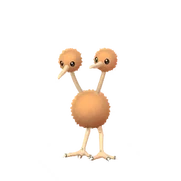 Doduo female