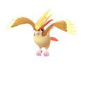 Pidgeot