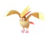 Pidgeot