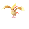 Pidgeot