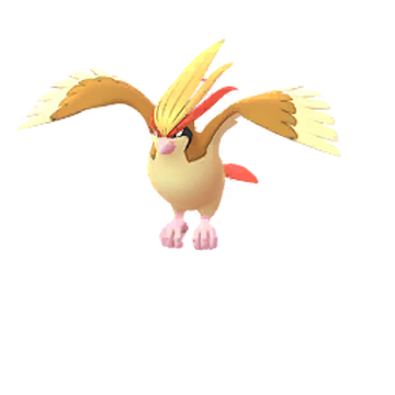 Pidgeotto, Pokémon GO Wiki