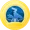 Sinnoh diamond medal