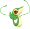 Branch Snivy