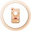 Johto Bronze.png