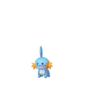 Mudkip