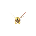 Ninjask