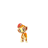 Chimchar