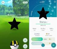 Staryu render failure