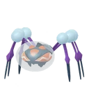 Araquanid