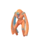 Defense Forme Deoxys