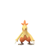 Combusken female
