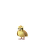 Pidgey