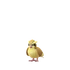 Pidgey