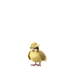 Pidgey