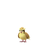 Pidgey