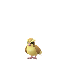 波波 Pokemon Go Wiki Fandom