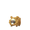 Bidoof