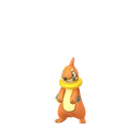 Buizel