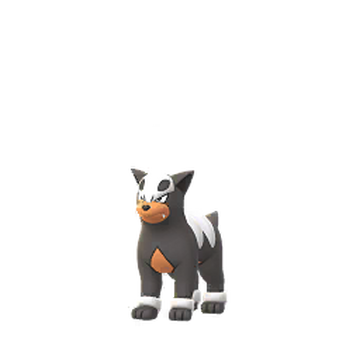 Houndoom  Pokédex