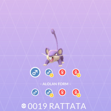 Rattata Pokemon Go Wiki Fandom