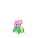 Bellossom