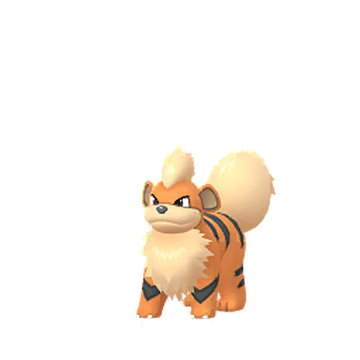 Growlithe, Wiki Pokédex