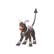Houndoom female