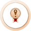 Wayfarer Bronze.png