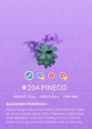 Pineco Shadow Pokédex entry
