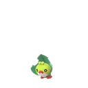 Sewaddle