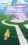 The player's Pidgey using Twister.