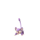 Rattata
