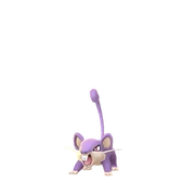 Rattata