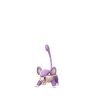 Rattata
