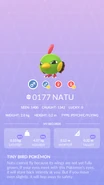 Natu Pokédex entry
